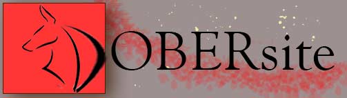 DOBERsite